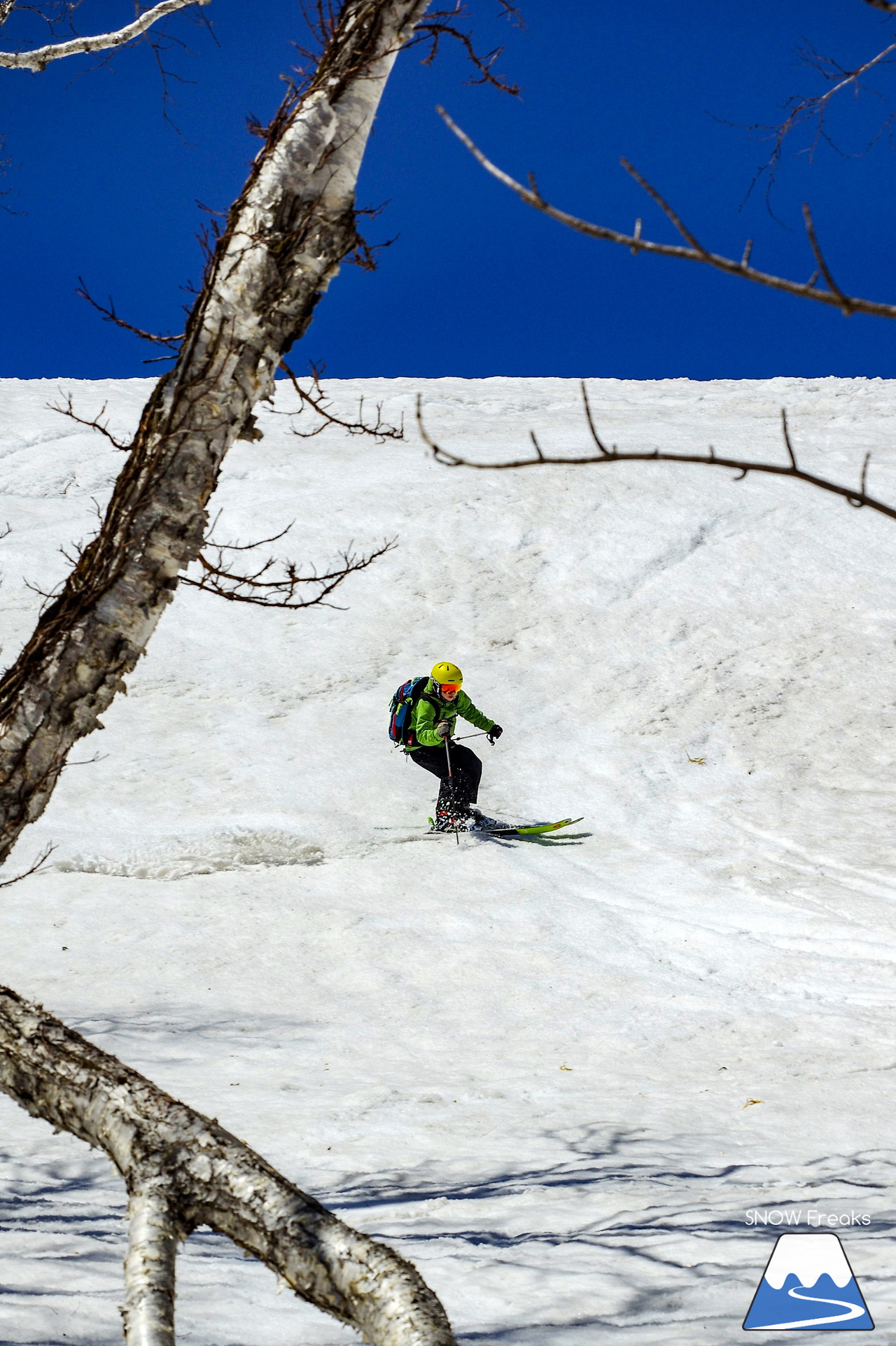 ニセコグラン・ヒラフ DYNASTAR SKI TEST RIDE DAYS Photo Session!!最高の天気に恵まれたニセコに、最高の仲間たちが集まりました☆